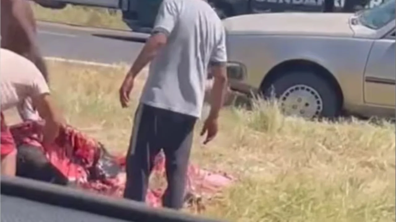 Como en el 2001: volcó un camión con vacas y los vecinos las faenaron